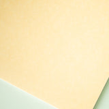 Bienfang 207 Calligraphic Parchment Paper