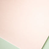 Bienfang 207 Calligraphic Parchment Paper